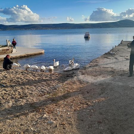 Crancina Διαμέρισμα Sveti Filip i Jakov Εξωτερικό φωτογραφία